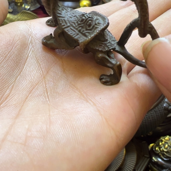 直播间福利多多多