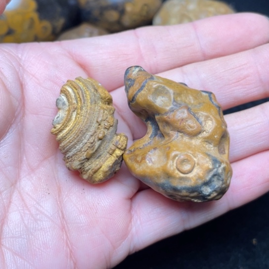 石材纯天然奇石原石68