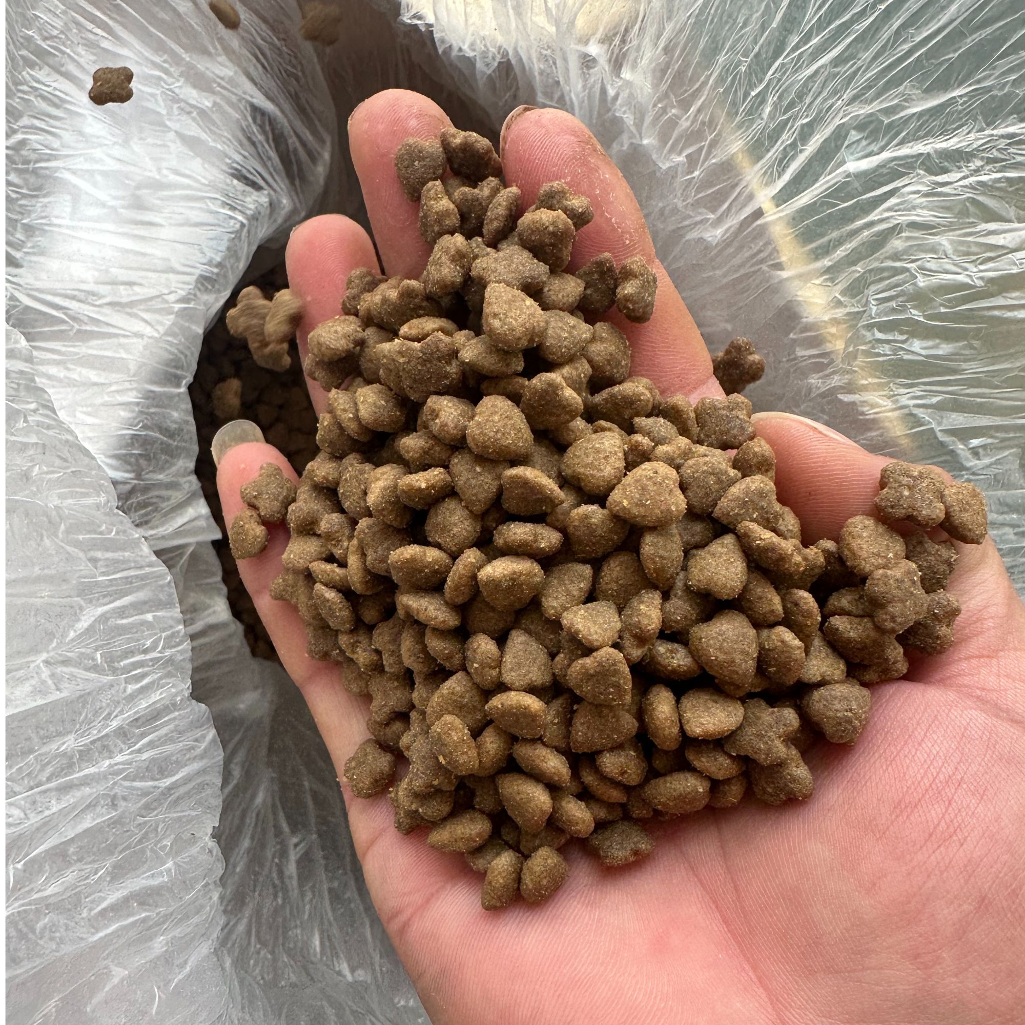 狗通用全价猫粮营养均衡含益生元鲜肉狗狗无谷配方宠物