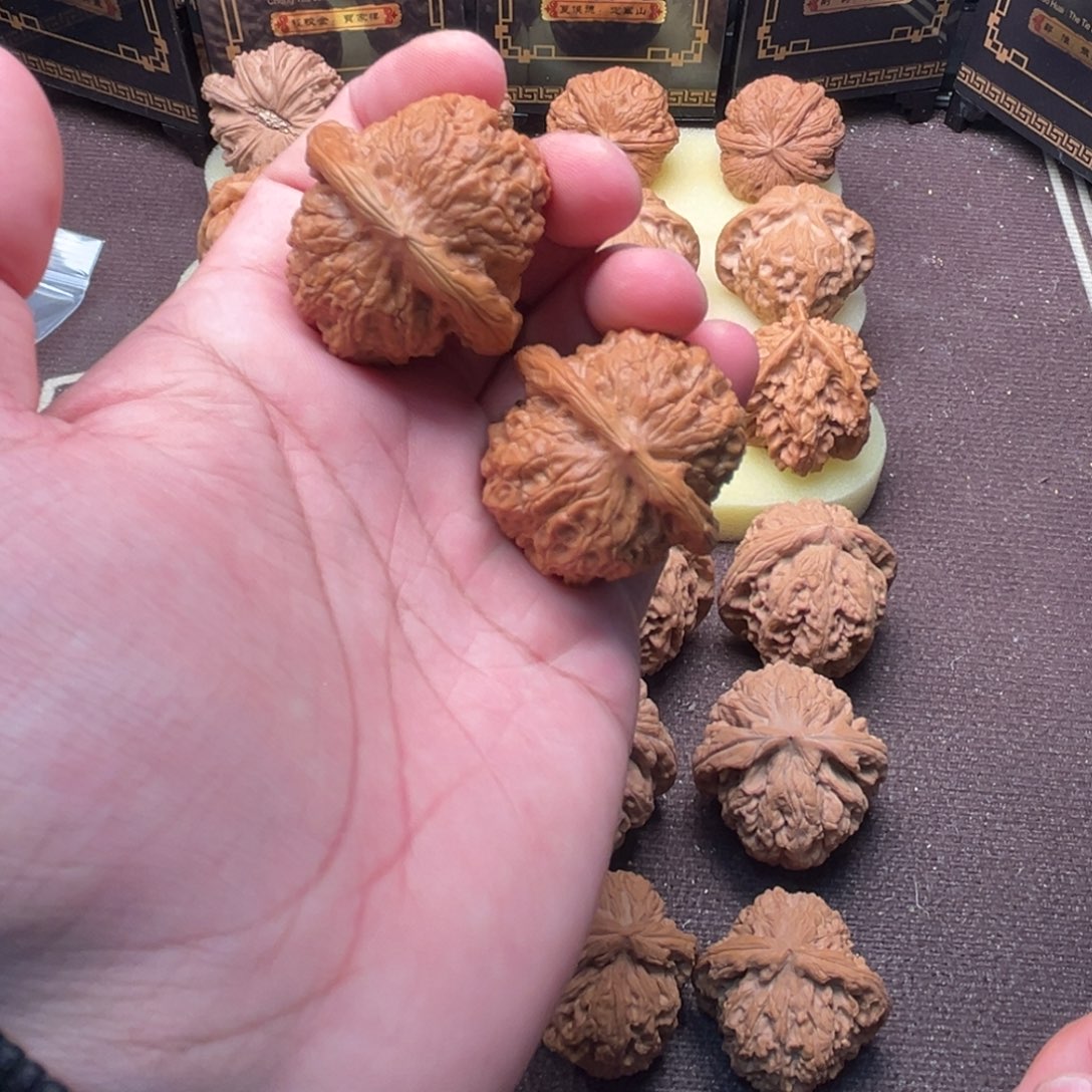 核桃血麒麟111111