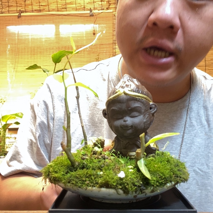 一物一拍所见即所得290