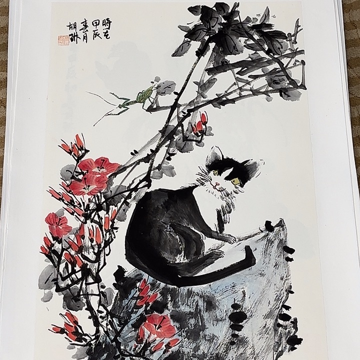 国画花鸟等多种鸟类和鸟类