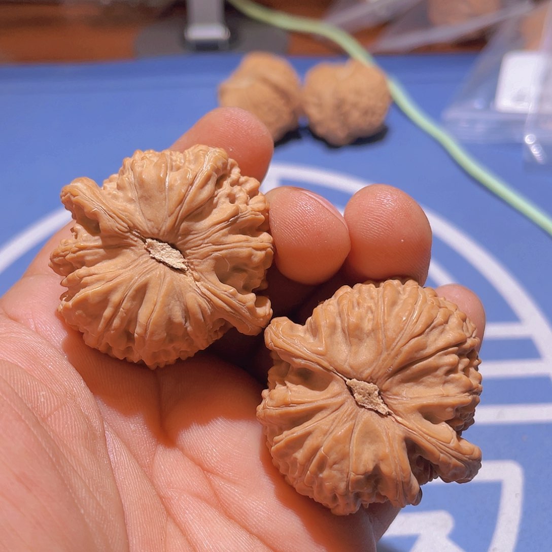 文玩核桃吊坠鱿****赋白狮子