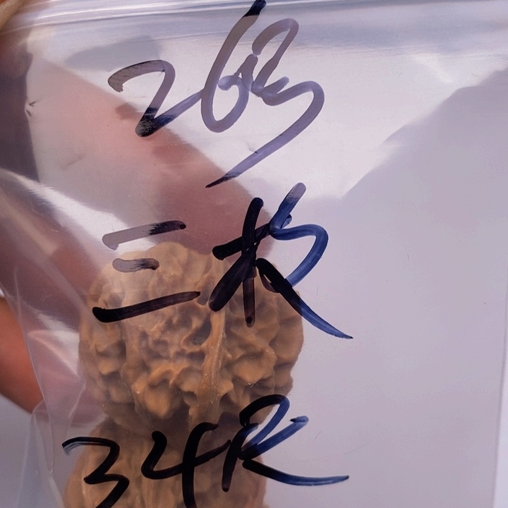 吊坠文玩核桃三棱