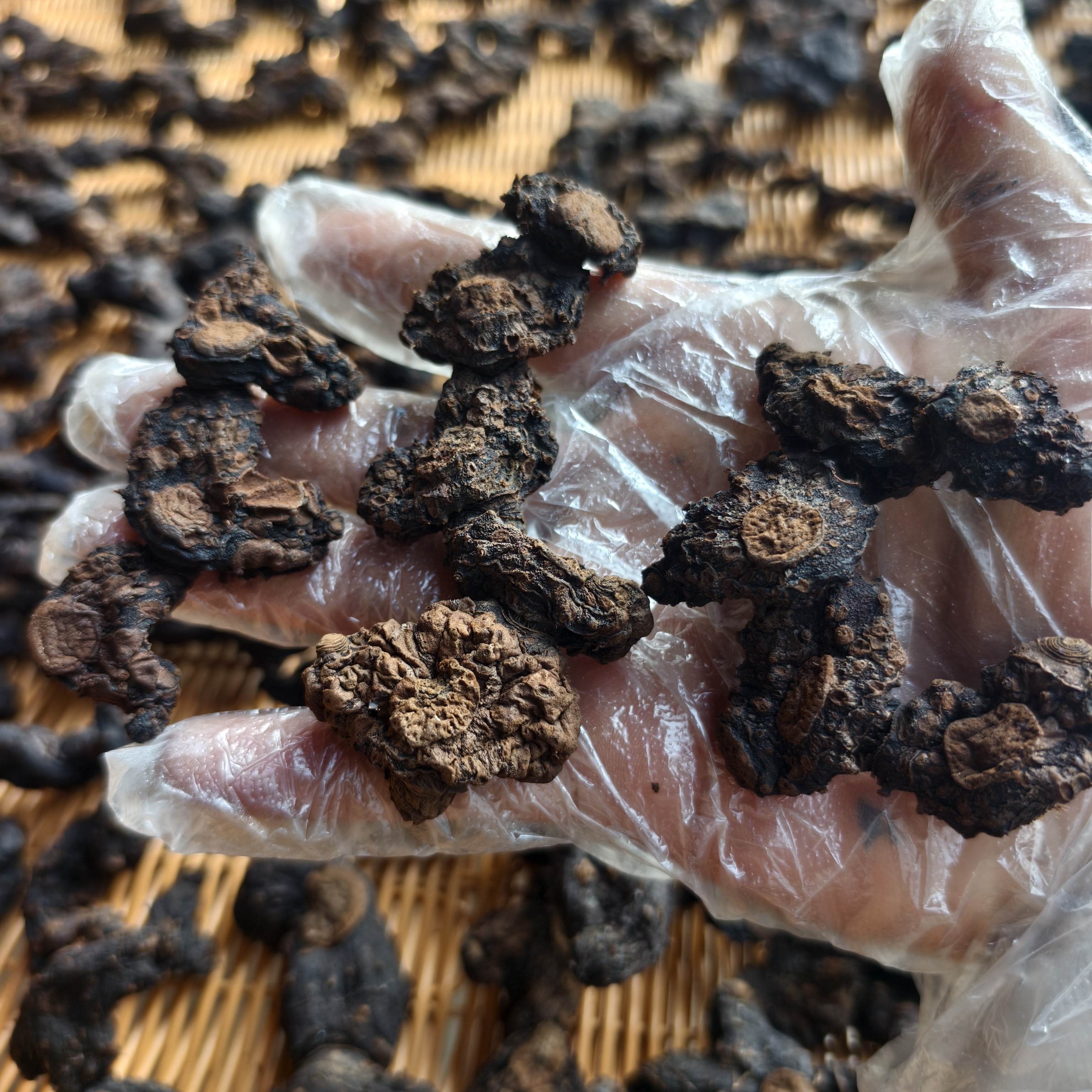 野生侗家九蒸九晒8年往上老皮多年份，冲水泡茶煮水煲汤煮粥老货