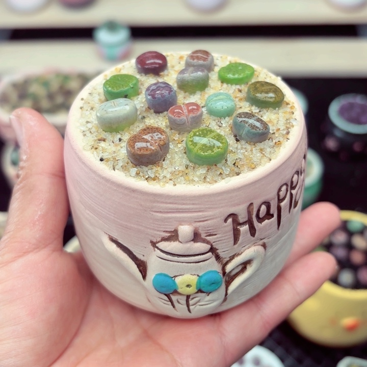 619零下地区记得拍保温箱