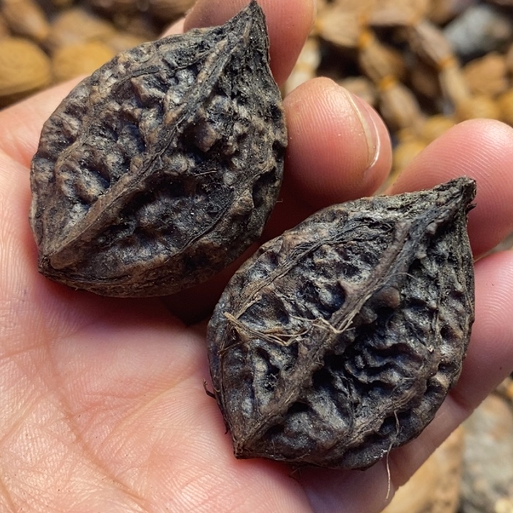 桃核吊坠东北特产18