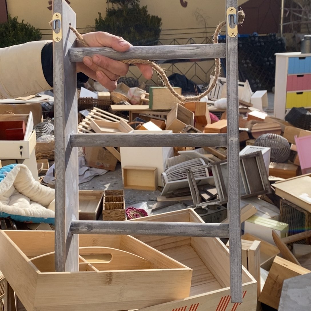 木这是编号021哈哈