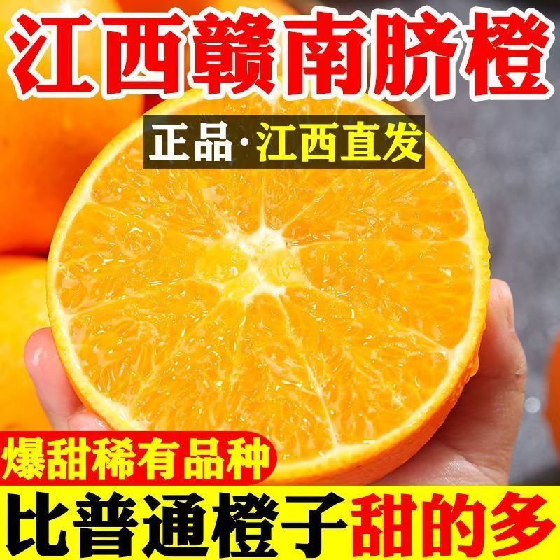 产地直发正宗赣南脐橙 5/10斤新鲜橙子孕妇水果皮薄多汁橙子