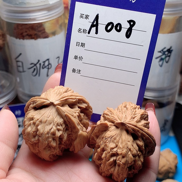 核桃手串/手链白狮子茶壶异形