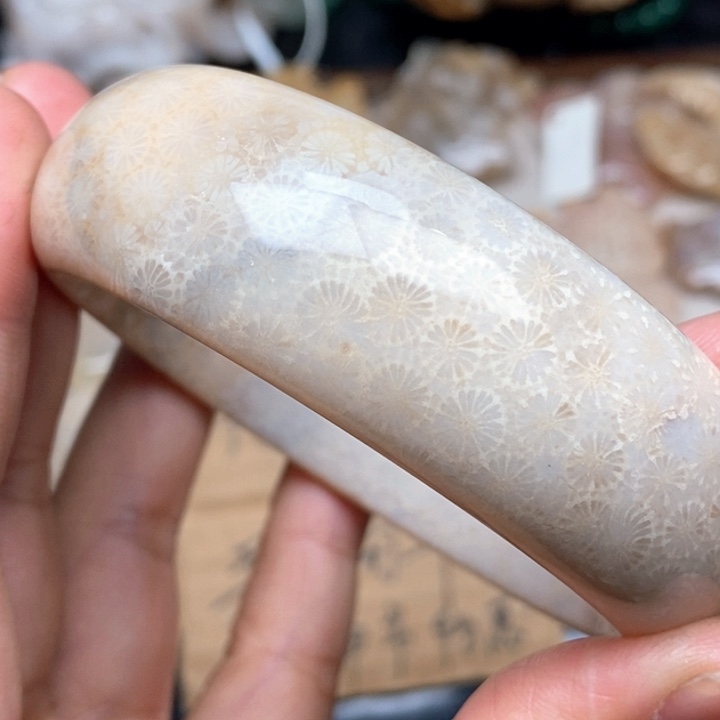 硅化珊瑚（珊瑚玉）手镯未镶嵌61,2