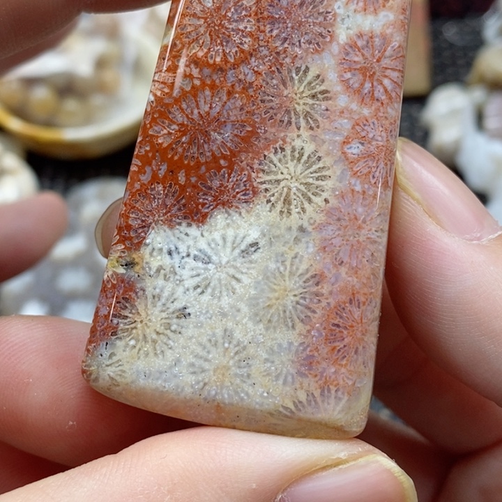 硅化珊瑚（珊瑚玉）颈饰未镶嵌