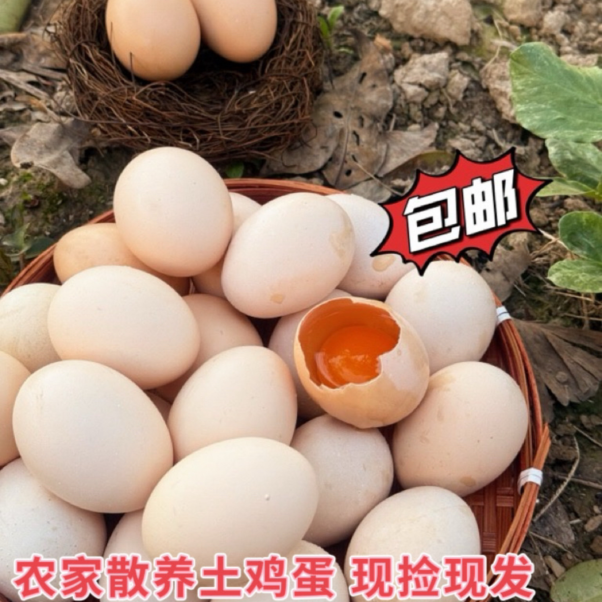 营养土鸡蛋正宗苏北农家散养草鸡蛋土鸡蛋林地散放草鸡蛋现拾现卖