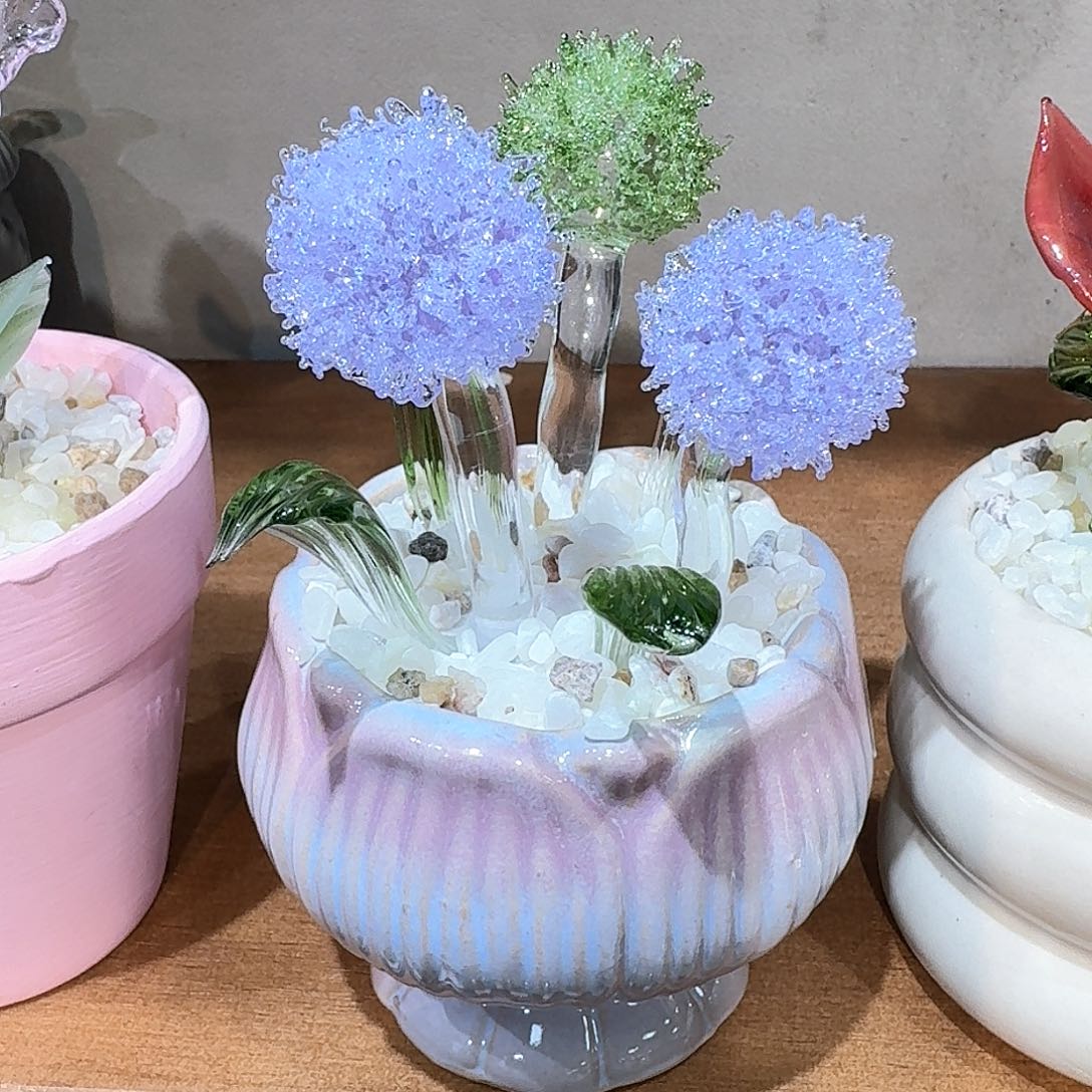 ?***o淄博特产111111111111112211