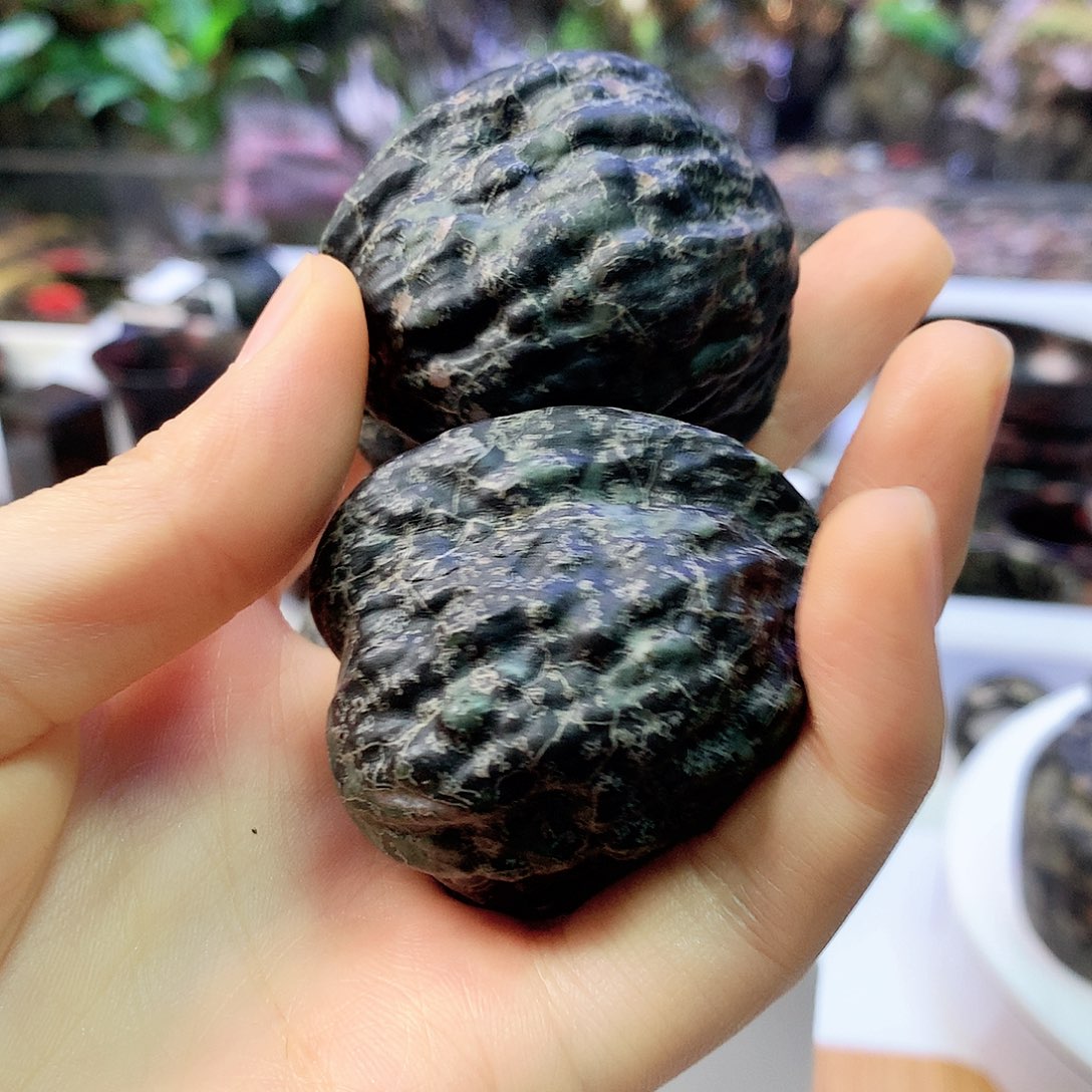 岩***初天然梅花玉石 开播福利