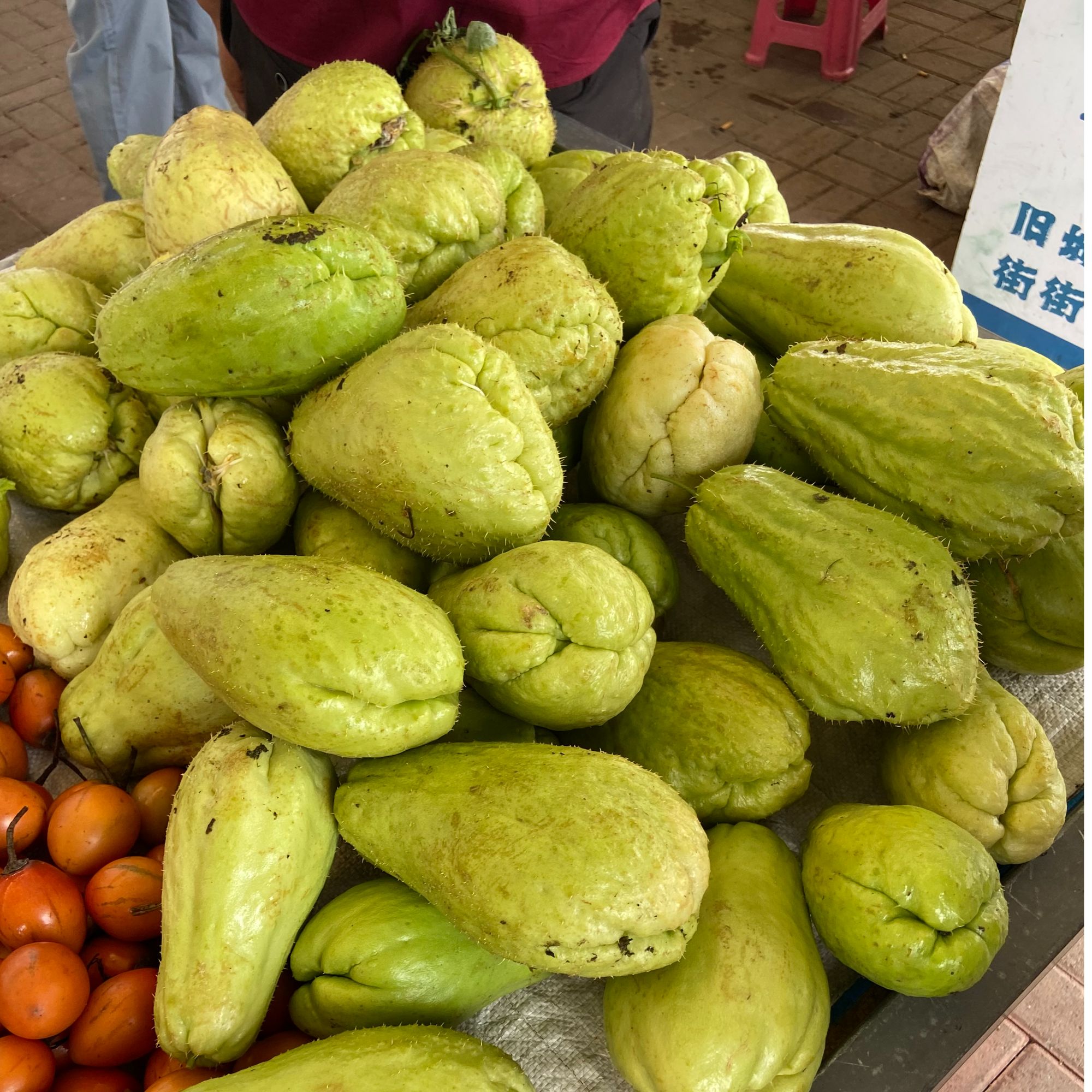 佛山瓜，云南德宏露天洋丝瓜