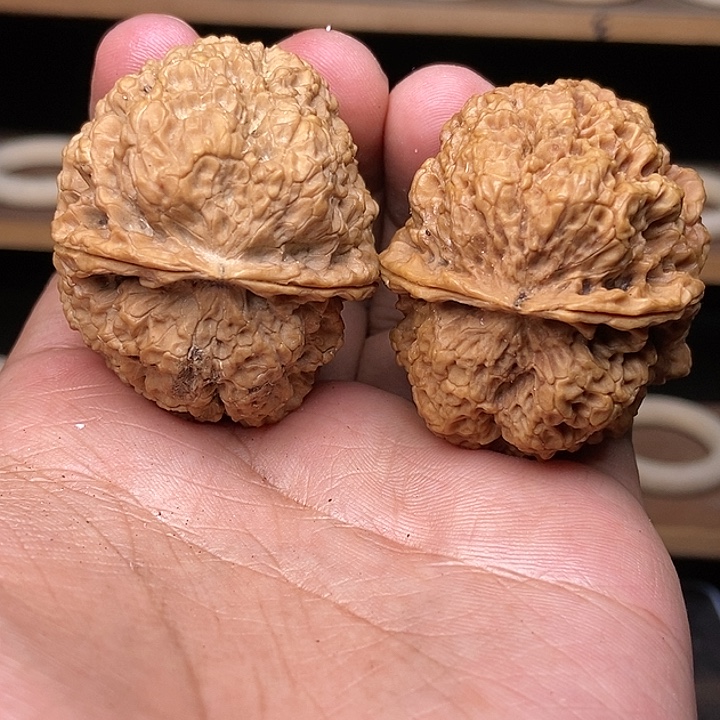 文玩核桃吊坠蛊王