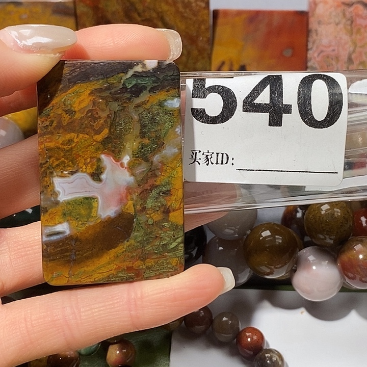 硅化玉未镶嵌天然北票树化玉吊坠