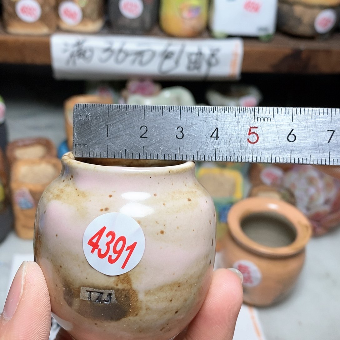 红陶拍5送一个小