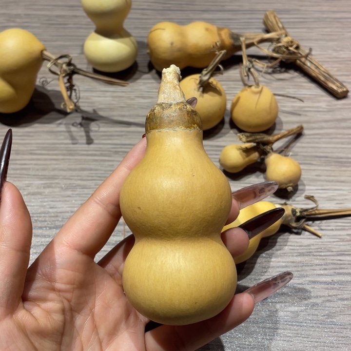 半***翠葫芦葫芦葫芦葫芦