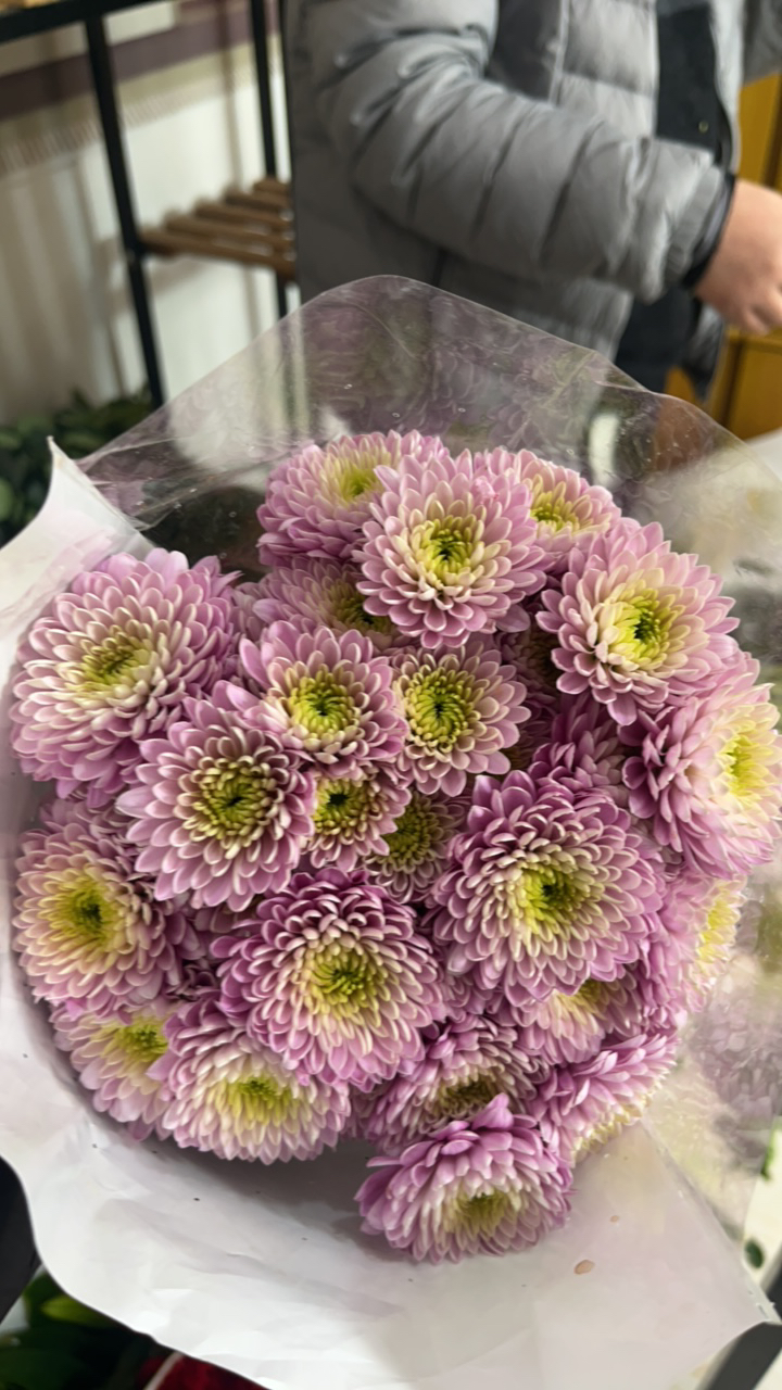 家居鲜花 小雏菊淡粉紫色8枝+2枝防