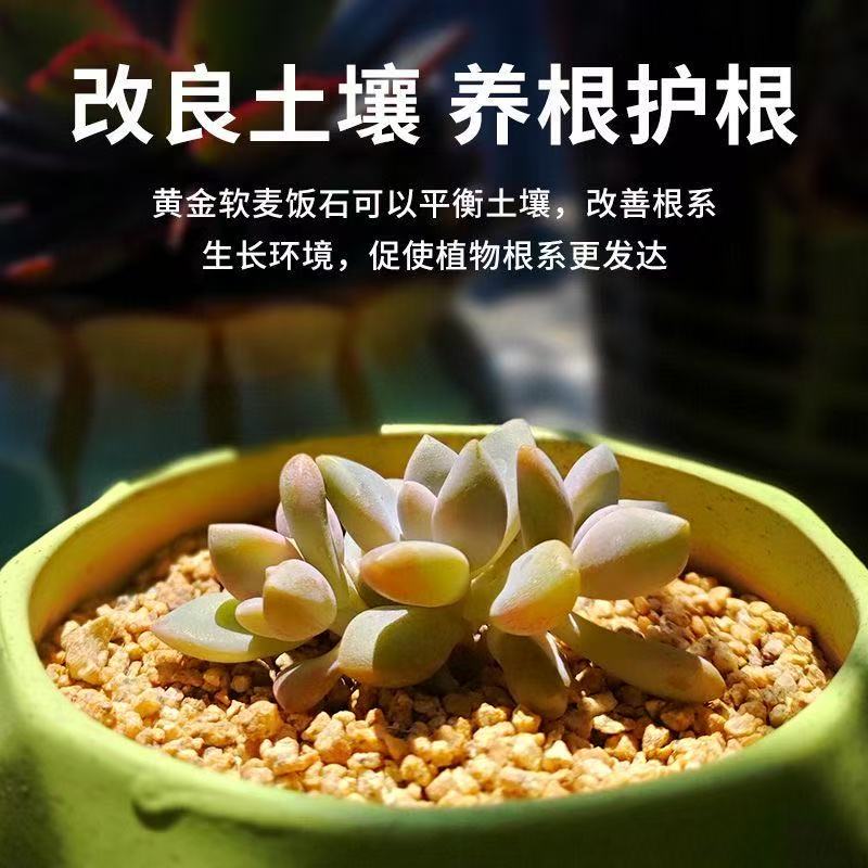 黄金麦饭石颗粒多肉专用颗粒土泥炭种植土壤绿植养花通用铺面石