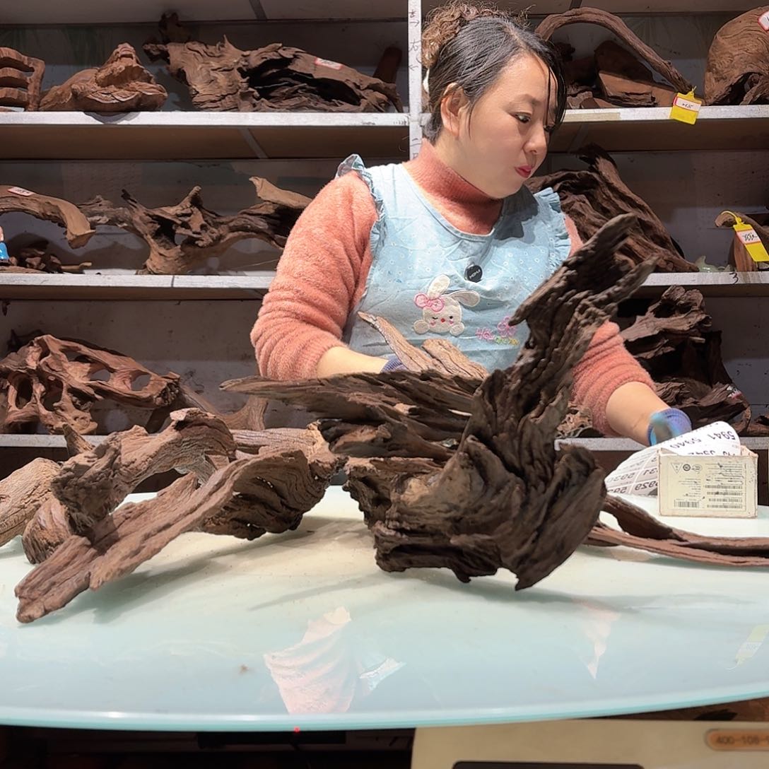 倍褚沉木不包损必褪色寺****n5922紫柚树皮