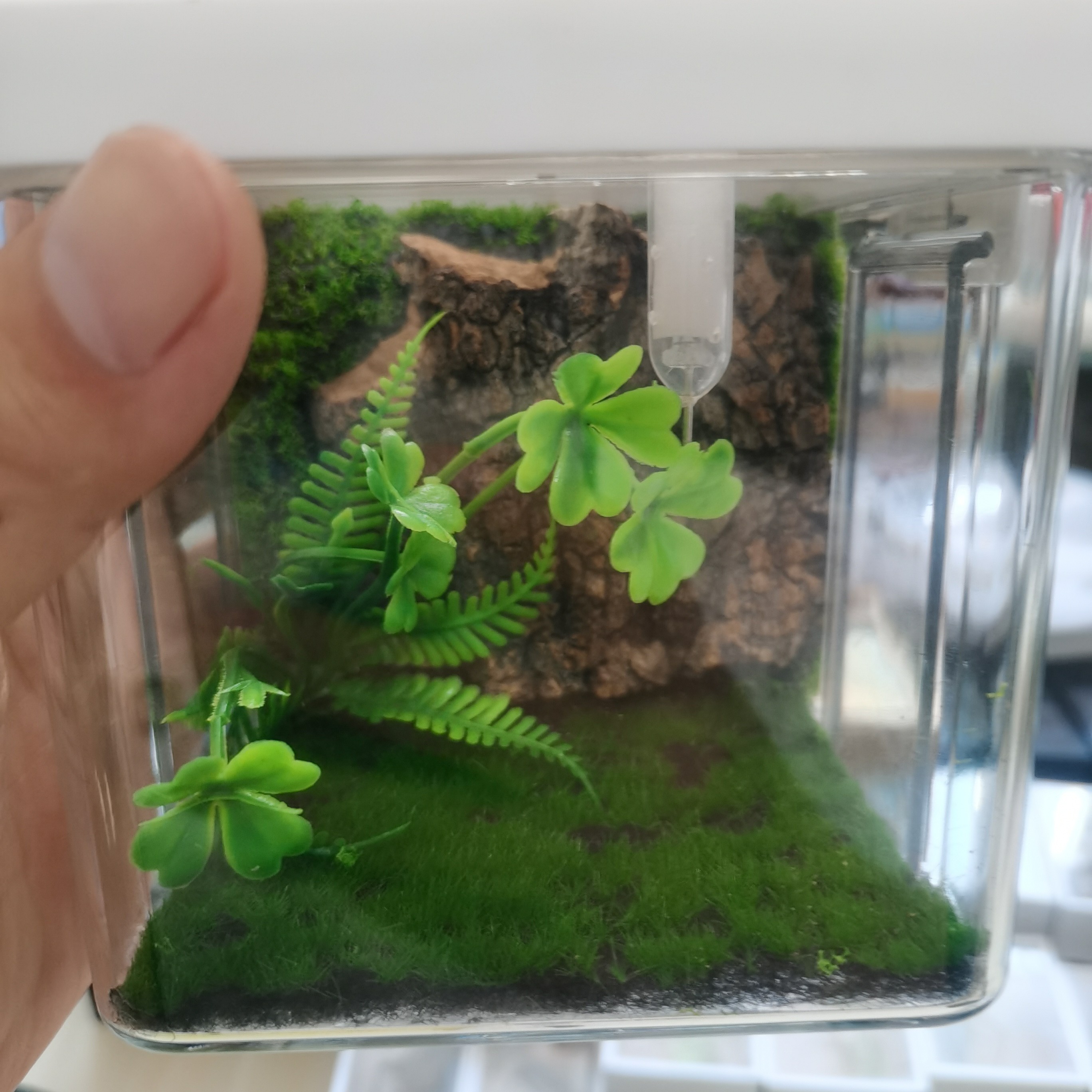 10*10带卡扣带加湿器小夜灯生态箱