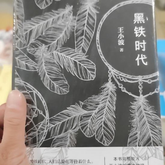 的黑铁时代王小波
