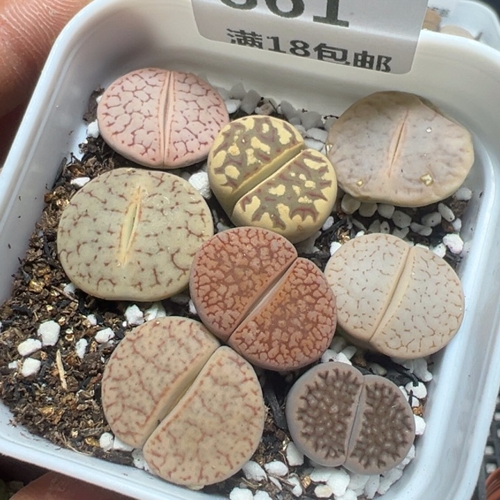 【闪购商品】 861。   