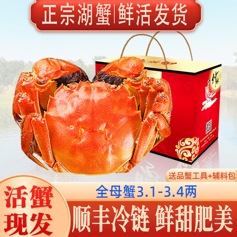【活蟹】全母蟹3.1-3.4两6只鲜活大闸蟹螃蟹国庆礼盒