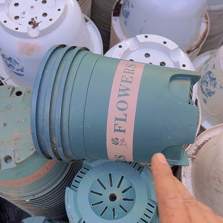 加仑盆口径15.5高15.5发11个