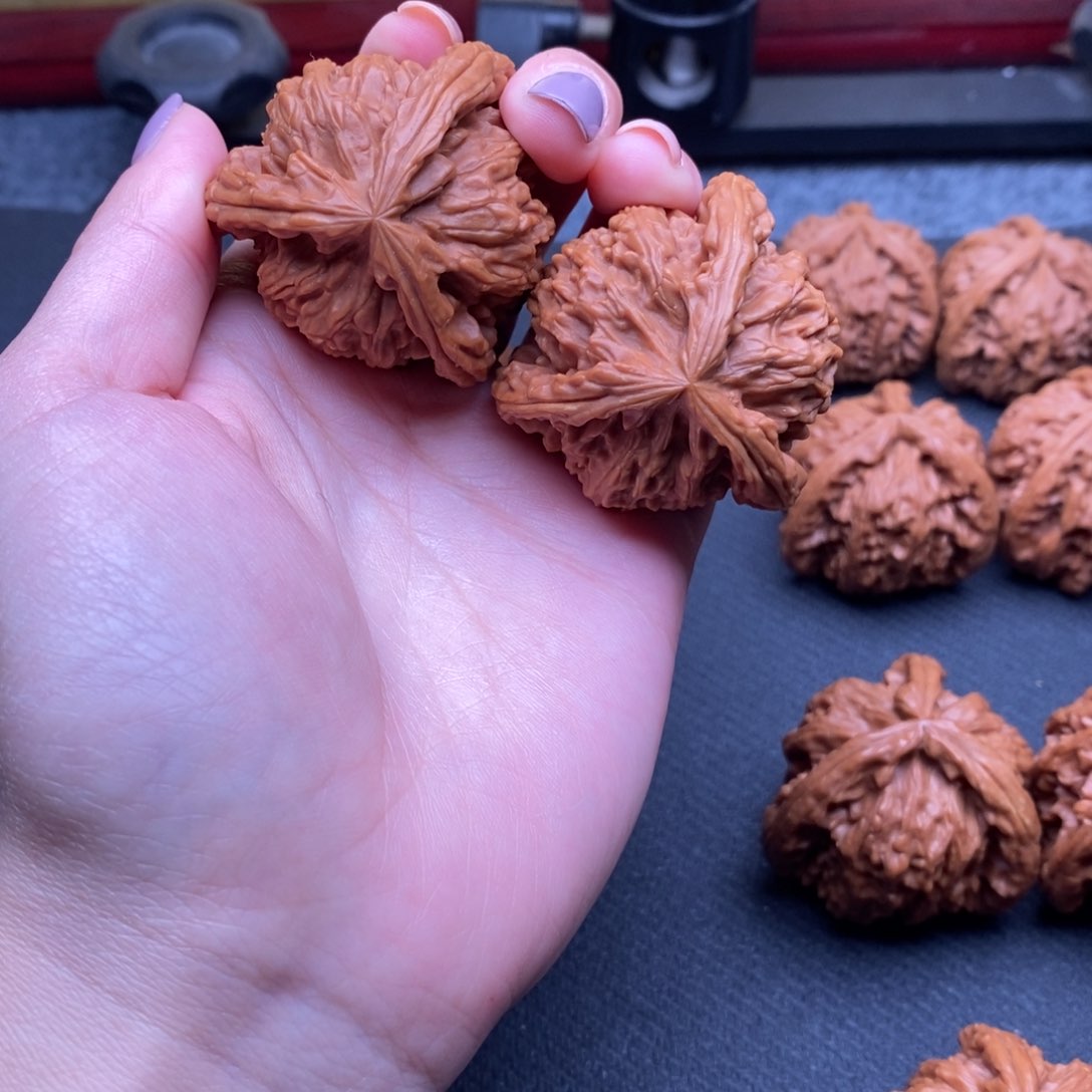 低**人白狮子凄凄切切凄凄切切去