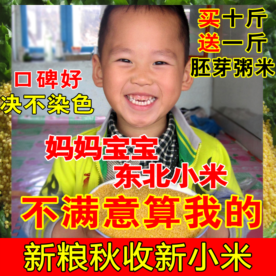 东北小米黄小米小黄米月子米宝宝米