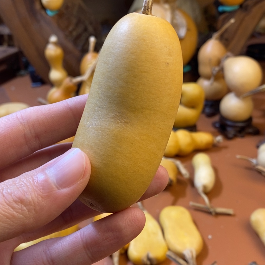 十***铺教练教练教练教练经理