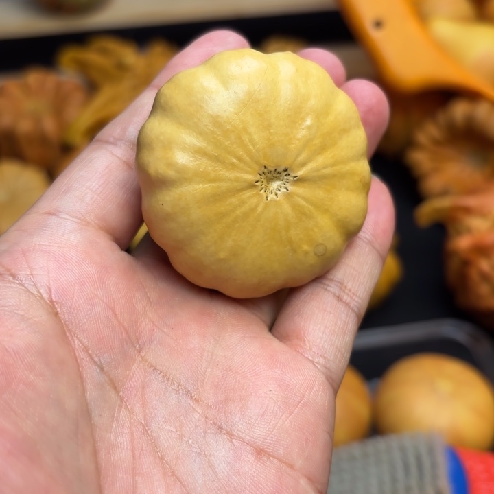 葫芦福利初五发货