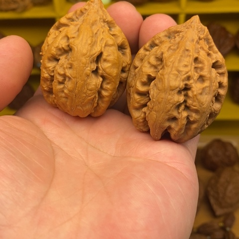 把件文玩核桃东北秋子核桃53
