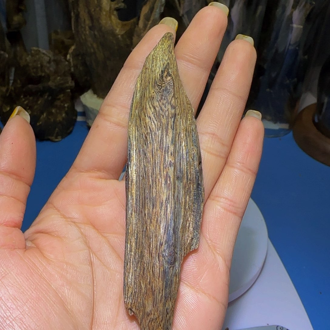 沉香手把件成***乐沉香奇楠母树绿奇虫漏12.5克