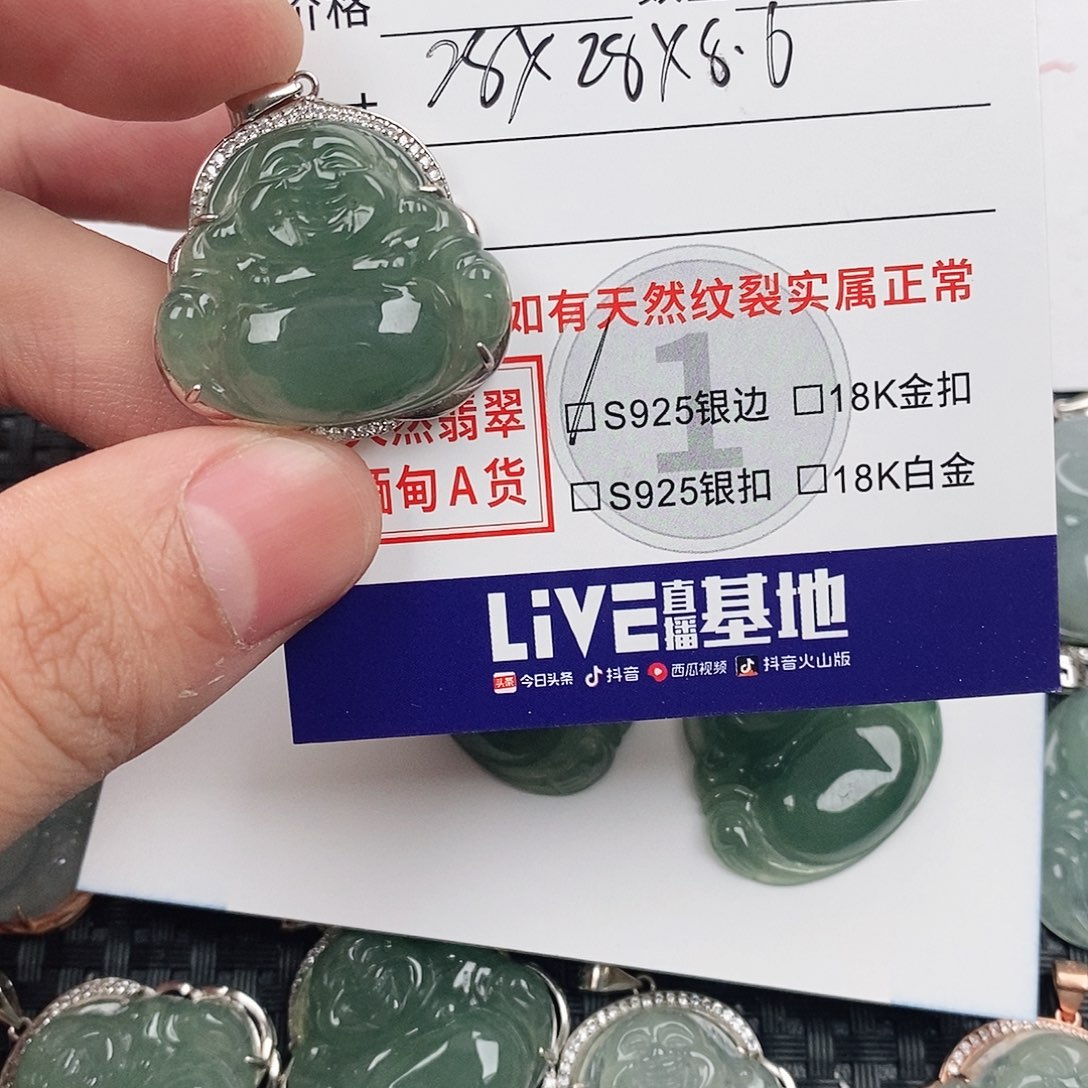 詹***洁翡翠银S925镶嵌颈饰