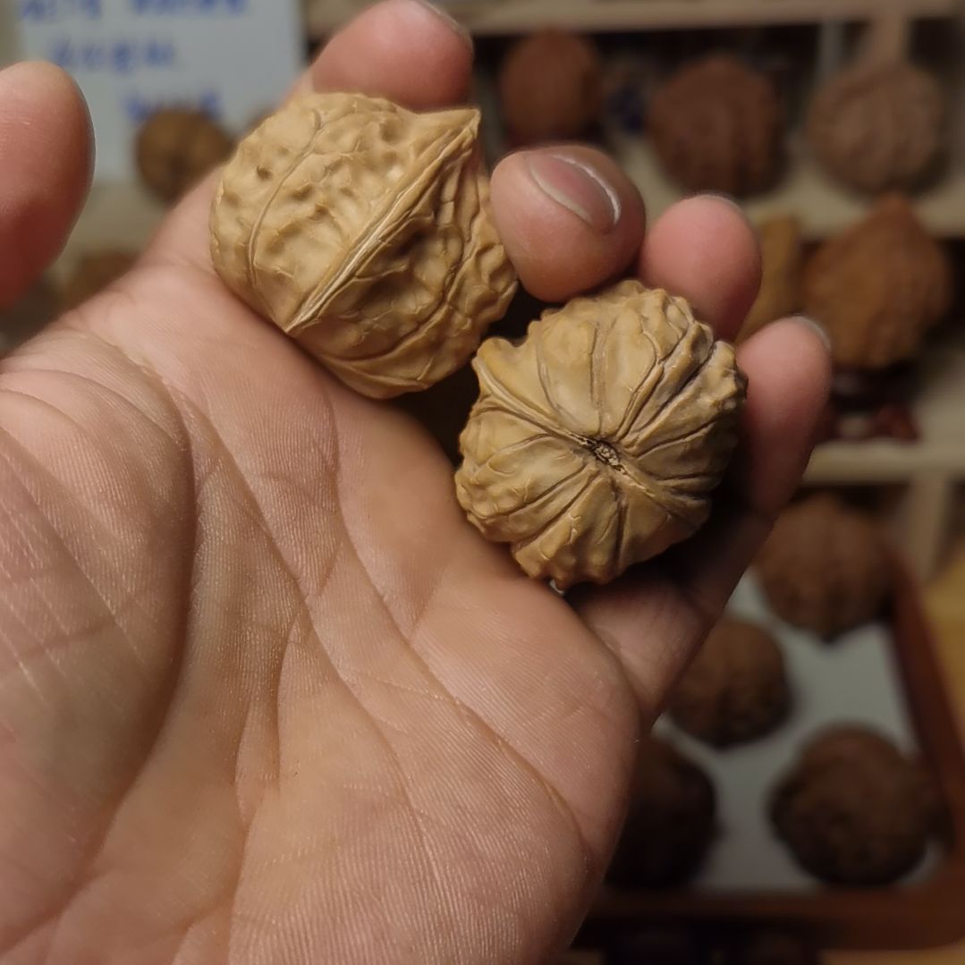 核桃文玩核桃高端小众龟甲纹35尺全品