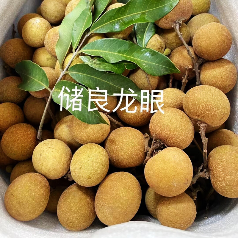 【顺丰快递】广西储良龙眼新鲜老树现摘现发桂圆A级精选果脆甜多汁