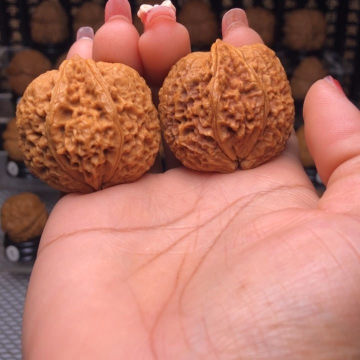 橄榄核吊坠13生命之源