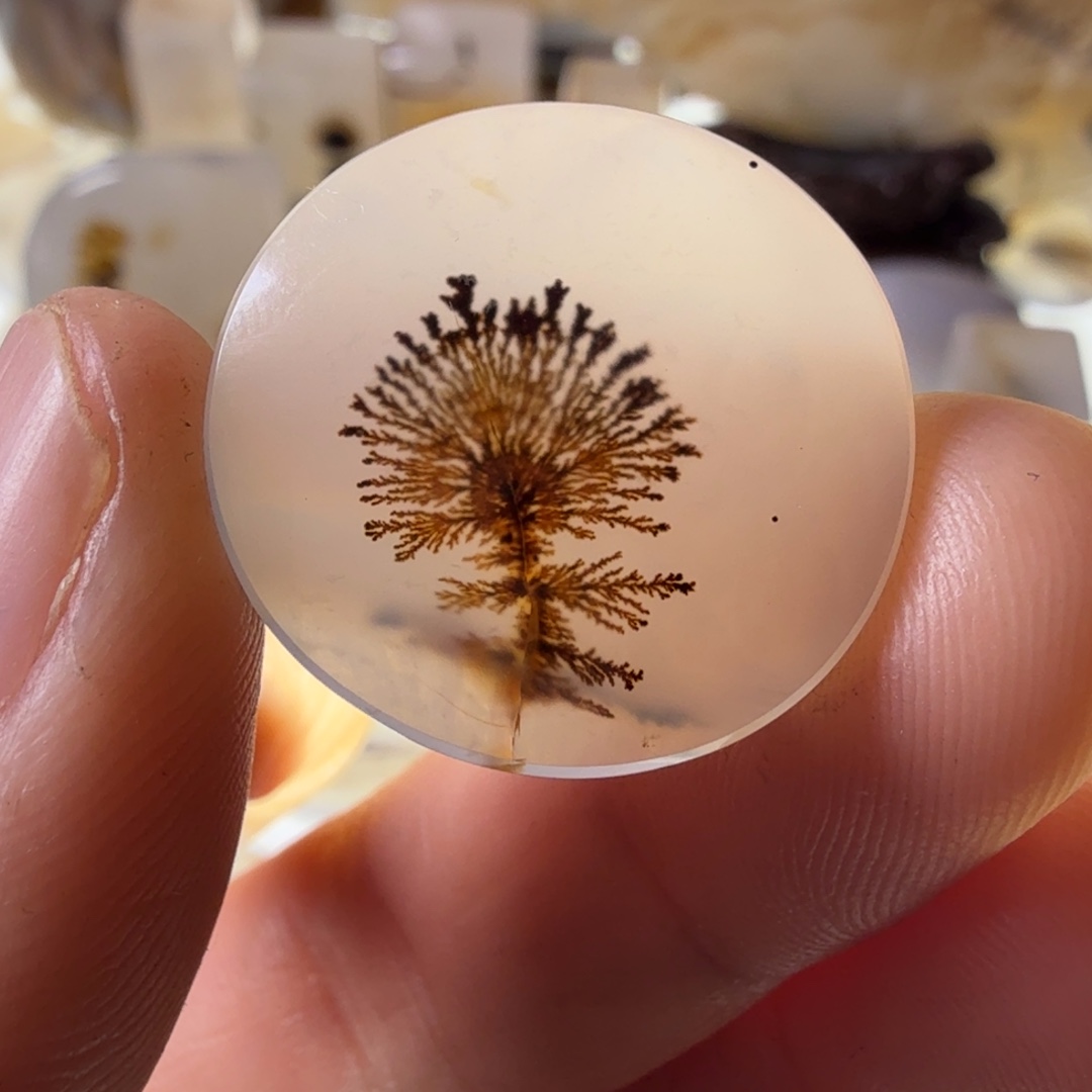 奇***果玛瑙/玉髓未镶嵌珠宝半成品