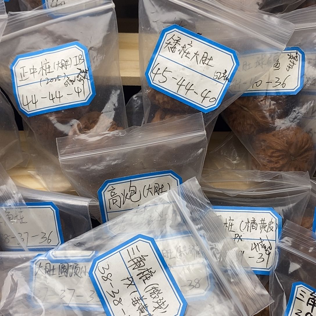 〆***.要玩核桃姜黄皮的