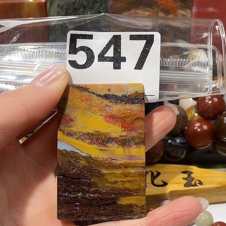 硅化玉未镶嵌天然北票树化玉吊坠