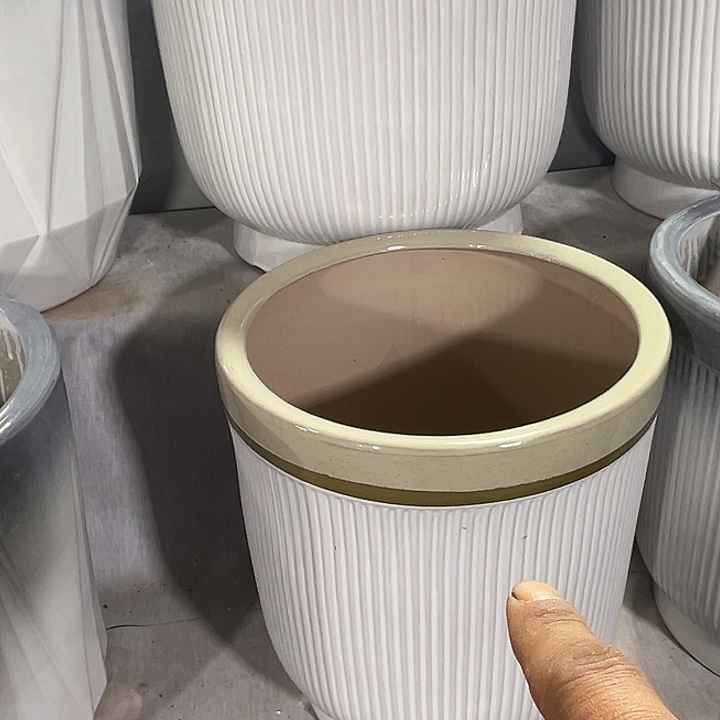 *****细条黄口渐变大号一个