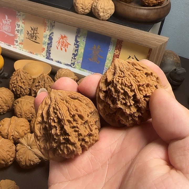 核桃43满天星核桃
