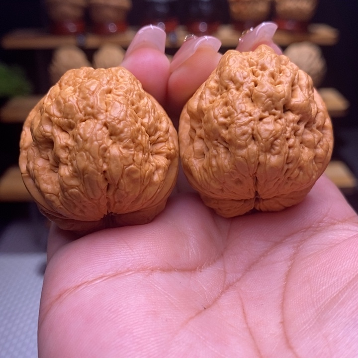 木质类云铁帝王蟾22号40尺