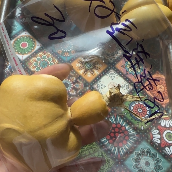 好***1葫芦钱袋子葫芦钱袋子葫芦