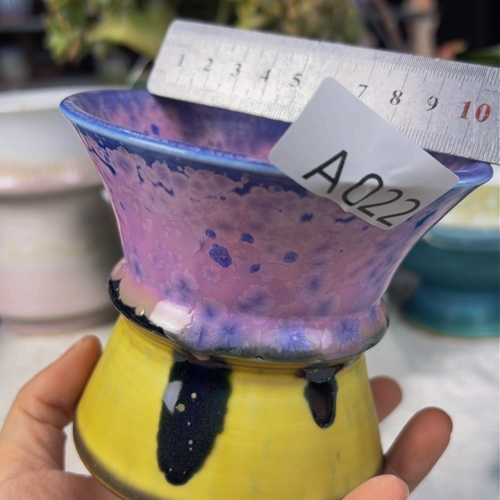 景德镇陶瓷研究所所长